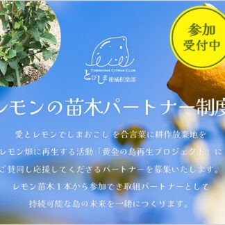 レモンの苗パートナー制度