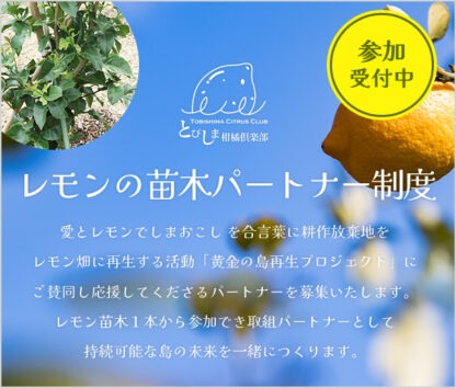 レモンの苗パートナー制度
