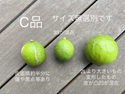 とびしまグリーンレモンAB品 10kg箱 - 画像 (3)