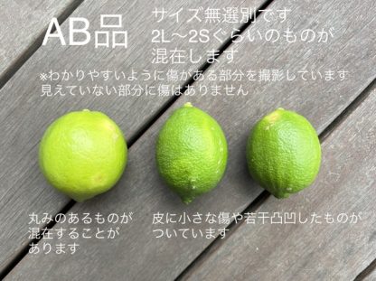 とびしまグリーンレモンAB品 10kg箱 - 画像 (2)