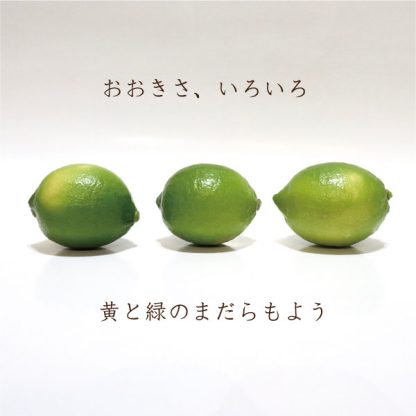 とびしまグリーンレモンAB品 10kg箱 - 画像 (8)