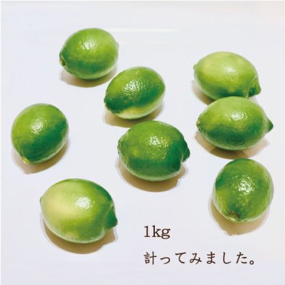 とびしまグリーンレモンAB品 10kg箱 - 画像 (7)