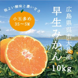 とびしま海道産早生みかんC品 10kg箱