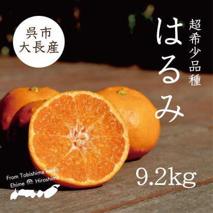 【数量限定】小玉はるみ 10kg箱