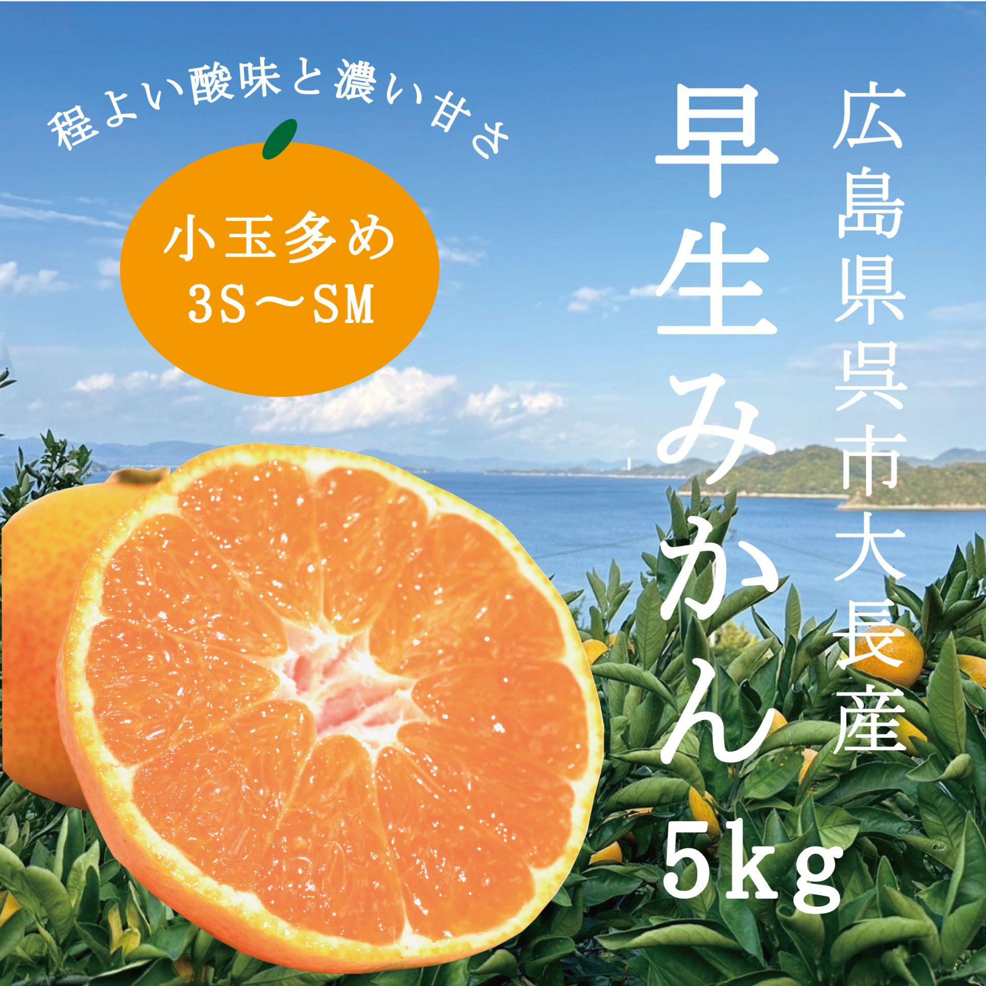 とびしま海道産早生みかんC品 5kg箱