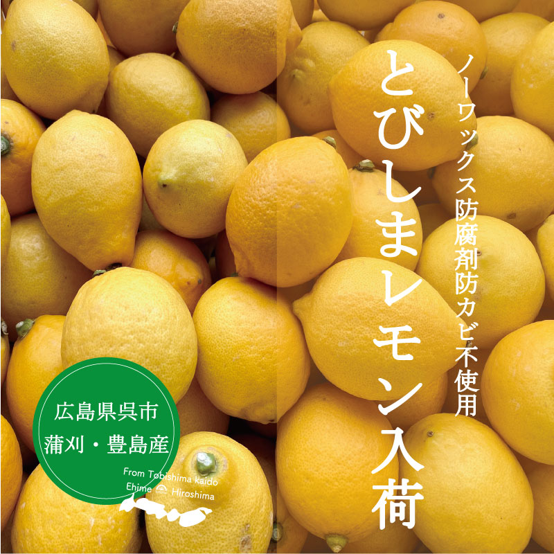 とびしま海道の温暖な気候と海面からの反射光が育んだ極上レモン。完熟レモンは酸味の中にまろやかさがあり凝縮された濃厚な味わいです。