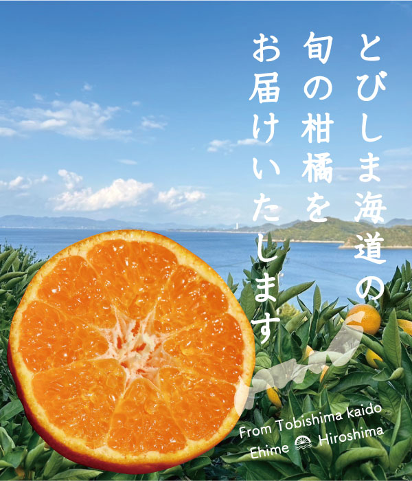 旬な柑橘