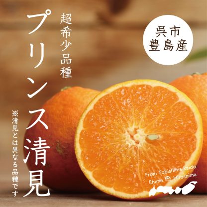 【超レア品種】プリンス清見小玉 10kg箱※数量限定※