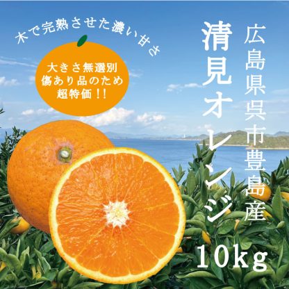 清見(皮に黒点や傷あり) 10kg箱