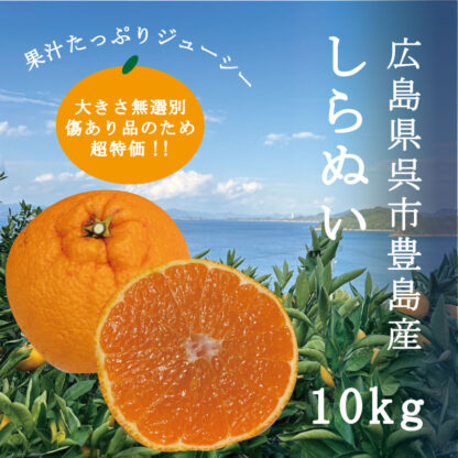 不知火(傷あり品) 10kg箱