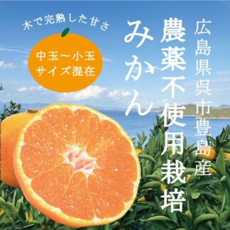 【期間限定】農薬不使用栽培みかん 5kg箱 (とびしま海道産)