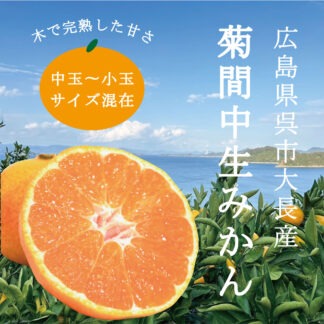 【期間限定】無選別みかん 5kg箱 (とびしま海道産)