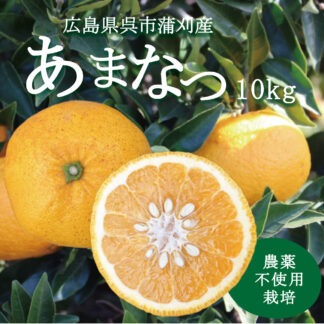 農薬不使用栽培甘夏 10kg箱