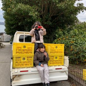 台湾からレモンボランティア 台湾からレモンボランティア